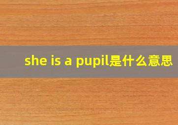 she is a pupil是什么意思